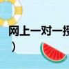 網上一對一授課哪個軟件好（網上一對一授課）