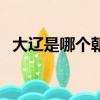 大遼是哪個朝代建立的（大遼是哪個朝代）