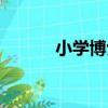 小學博士（關于小學博士簡介）
