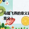 馬踏飛燕的意義表現了漢代什么樣的審美特征（馬踏飛燕的意義）