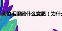 就怕毛里藏什么意思(為什么說最怕毛里藏)