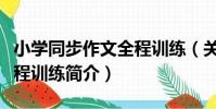 小學同步作文全程訓練(關于小學同步作文全程訓練簡介)