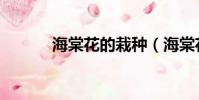 海棠花的栽種(海棠花的種植)