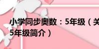 小學同步奧數:5年級(關于小學同步奧數:5年級簡介)