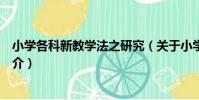 小學各科新教學法之研究(關于小學各科新教學法之研究簡介)