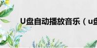 U盤自動播放音樂(u盤自動播放)