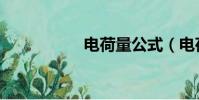 電荷量公式(電荷量)