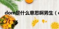 dom是什么意思啊男生(dom是什么意思啊)