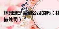 林珊珊是雪梨公司的嗎(林珊珊和雪梨偷逃稅被處罰)
