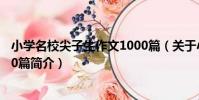 小學名校尖子生作文1000篇(關于小學名校尖子生作文1000篇簡介)