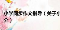 小學同步作文指導(關于小學同步作文指導簡介)