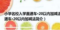 小學名校入學直通車·20以內加減法(關于小學名校入學直通車·20以內加減法簡介)