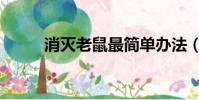 消滅老鼠最簡單辦法(消滅老鼠)
