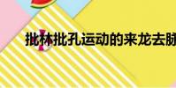 批林批孔運動的來龍去脈(批林批孔)