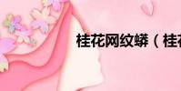 桂花網紋蟒(桂花網)