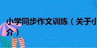 小學同步作文訓練(關于小學同步作文訓練簡介)