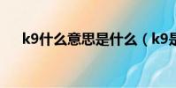 k9什么意思是什么(k9是什么意思呢)