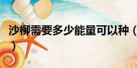 沙柳需要多少能量可以種(沙柳需要多少能量)