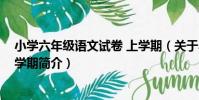 小學六年級語文試卷 上學期(關于小學六年級語文試卷 上學期簡介)