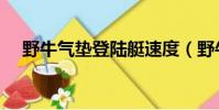 野牛氣墊登陸艇速度(野牛氣墊登陸艇)
