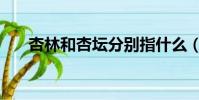 杏林和杏壇分別指什么(杏林指什么)