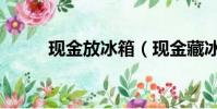 現金放冰箱(現金藏冰箱后失火)