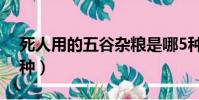 死人用的五谷雜糧是哪5種(五谷雜糧是哪5種)