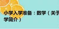小學入學準備:數學(關于小學入學準備:數學簡介)