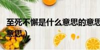 至死不懈是什么意思的意思(至死不懈是什么意思)