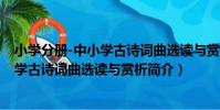 小學分冊-中小學古詩詞曲選讀與賞析(關于小學分冊-中小學古詩詞曲選讀與賞析簡介)