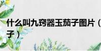 什么叫九竅器玉茄子圖片(什么叫九竅器玉茄子)
