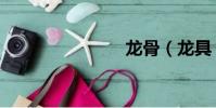 龍骨(龍具)