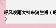 呼風喚雨大神來猜生肖(呼風喚雨是什么生肖)