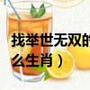 找舉世無雙的生肖是什么生肖（舉世無雙是什么生肖）