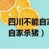 四川不能自家殺年豬了?官方回（四川回應禁自家殺豬）