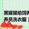 黑猩猩給飼養員洗衣服算勞動嗎（黑猩猩給飼養員洗衣服）