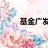 基金廣發小盤162703（162703）