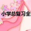 小學總復習全案（關于小學總復習全案簡介）