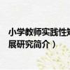 小學教師實踐性知識發展研究（關于小學教師實踐性知識發展研究簡介）