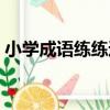 小學成語練練通（關于小學成語練練通簡介）