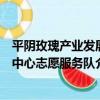平陰玫瑰產業發展中心志愿服務隊（關于平陰玫瑰產業發展中心志愿服務隊介紹）