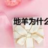 地羊為什么叫地羊（地羊是什么動物）