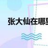 張大仙在哪里直播?（張大仙在哪里直播）
