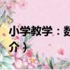 小學教學：數學版（關于小學教學：數學版簡介）
