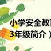 小學安全教育：3年級（關于小學安全教育：3年級簡介）