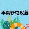 平陰新屯漢墓群（關于平陰新屯漢墓群介紹）