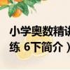 小學奧數精講精練 6下（關于小學奧數精講精練 6下簡介）