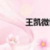 王凱微博kkw舍得（王凱微博）