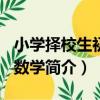 小學擇校生初中·數學（關于小學擇校生初中·數學簡介）