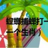 螳螂捕蟬打一個生肖是什么生肖（螳螂捕蟬打一個生肖）